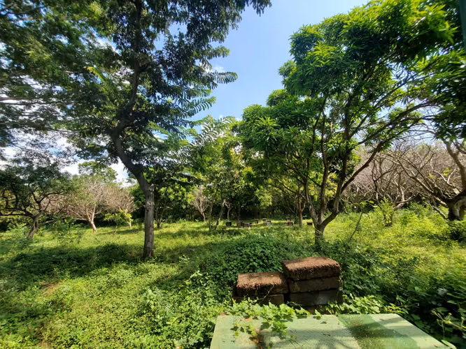 NO-Vendo quinta en Tisma km 36 - Imagen 10