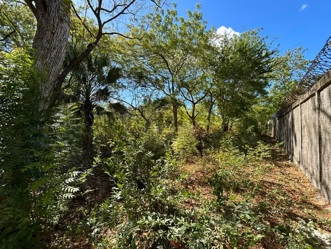 SL-Vendo terreno en Carretera Vieja Tipitapa km 17 - Imagen 4