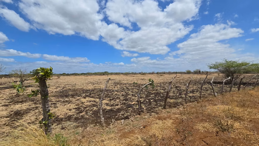 20 Manzanas planas en venta en Tipitapa, contiguo a Ciudadela San Martín, $20,000 por Manzana