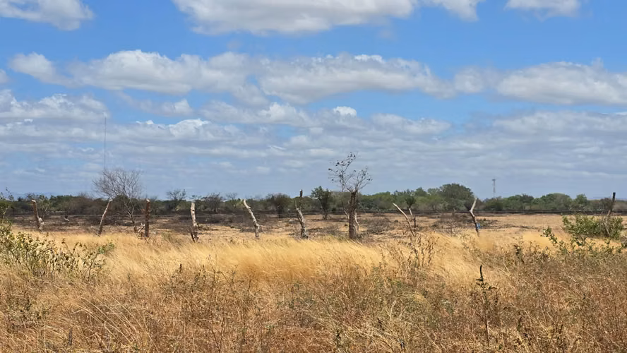 20 Manzanas planas en venta en Tipitapa, contiguo a Ciudadela San Martín, $20,000 por Manzana
