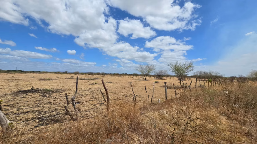 20 flat apples for sale in Tipitapa, next to Ciudadela San Martín, $20,000 for Manzana