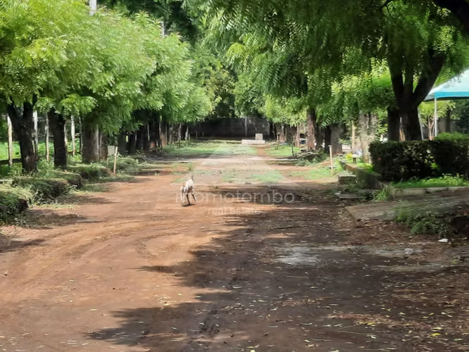 Terreno en Venta Sabana Grande, Managua - Imagen 4