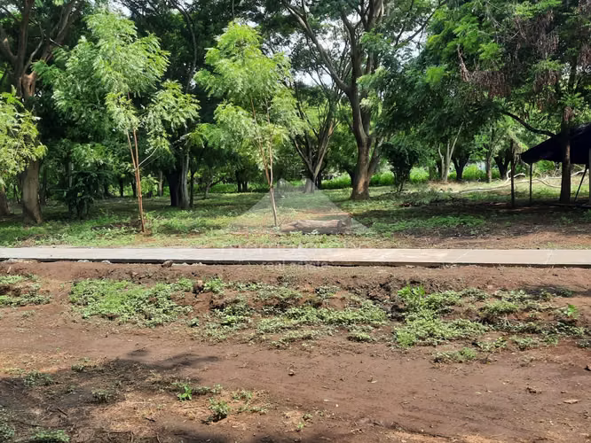 Land for Sale Sabana Grande, Managua