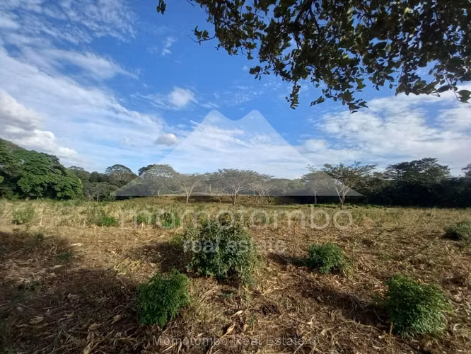 Finca en Venta Carretera Vieja A León, Managua - Imagen 8