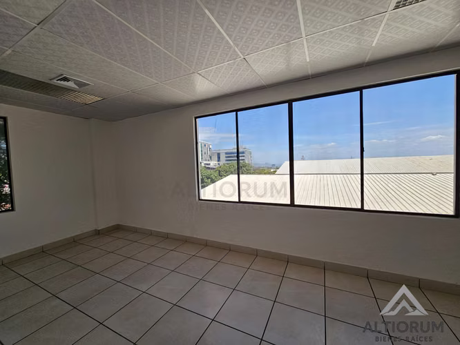 Oficina en Renta en Planes de Altamira | 245 m²