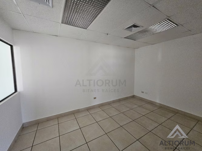Oficina en Renta en Planes de Altamira | 245 m²