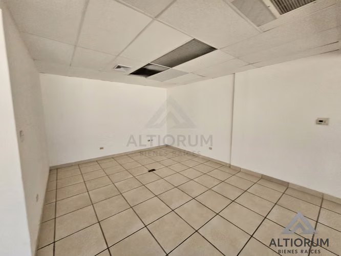 Oficina en Renta en Planes de Altamira | 245 m²