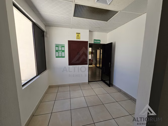 Oficina en Renta en Planes de Altamira | 245 m²