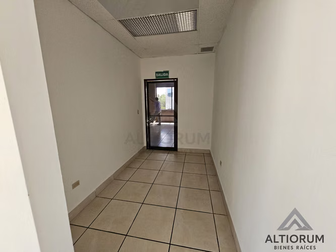 Oficina en Renta en Planes de Altamira | 245 m²