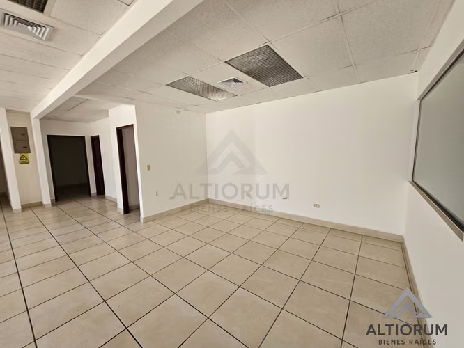 Oficina en Renta en Planes de Altamira | 245 m²