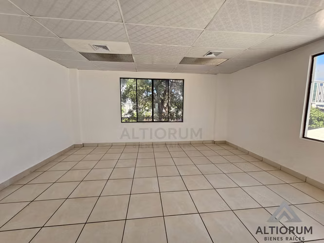 Oficina en Renta en Planes de Altamira | 245 m²