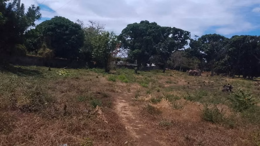 Oportunidad de renta- 4 maz sobre Carretera principal