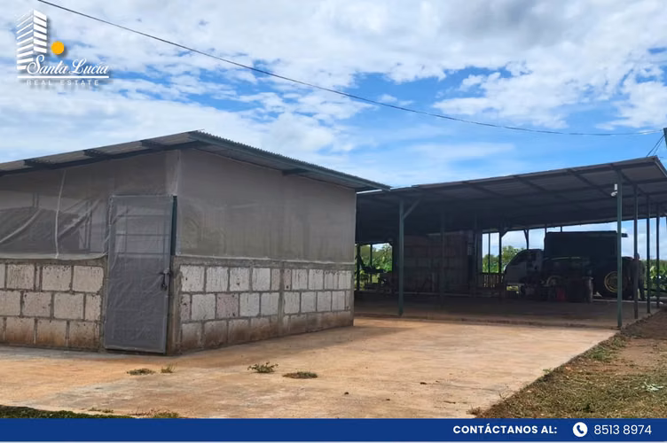 Finca agrícola y ganadera en venta – San Francisco Libre-IY - Imagen 3