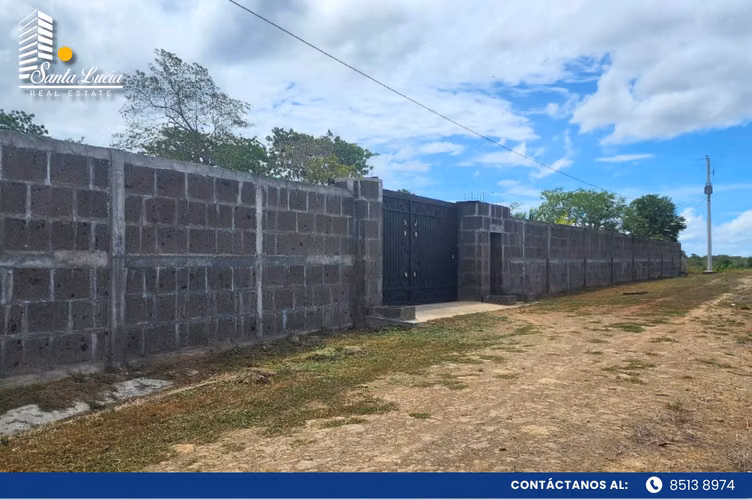 Finca agrícola y ganadera en venta – San Francisco Libre-IY - Imagen 4