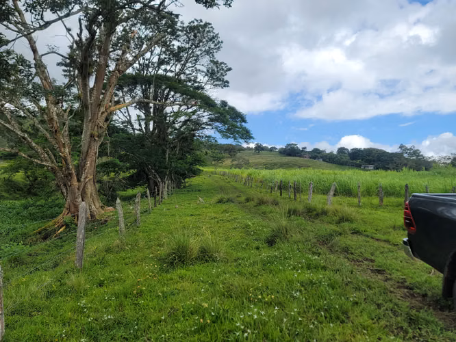 Finca multipropósito en Jinotega!
