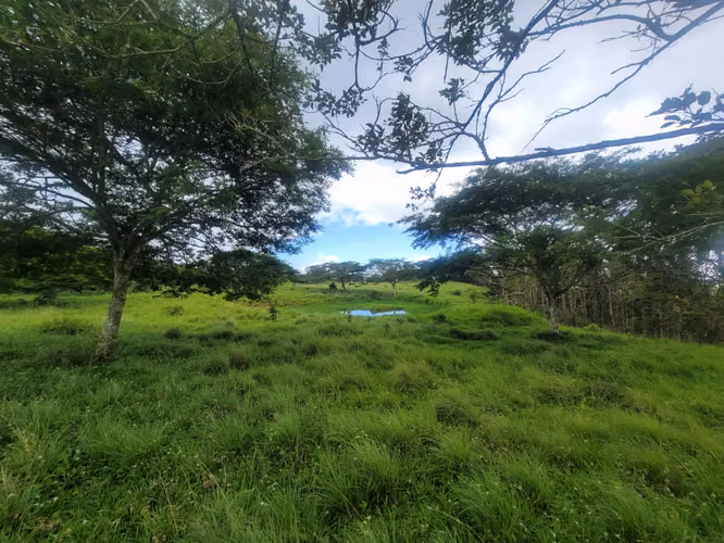 Multipurpose farm in Jinotega!