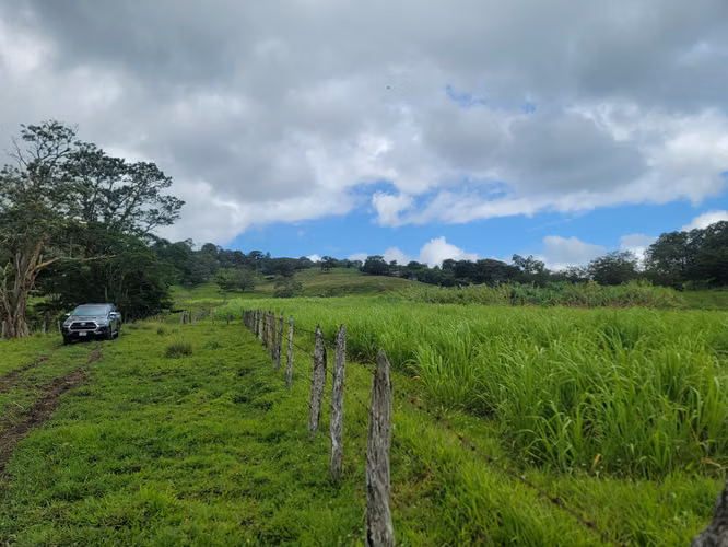 Finca multipropósito en Jinotega!