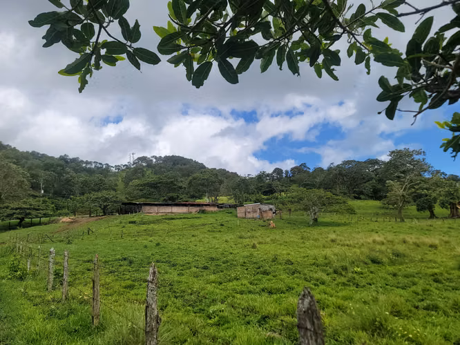 Finca multipropósito en Jinotega!