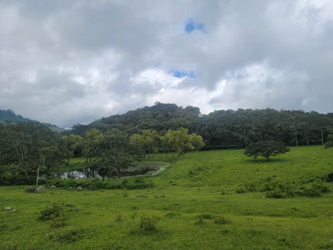 Finca multipropósito en Jinotega!