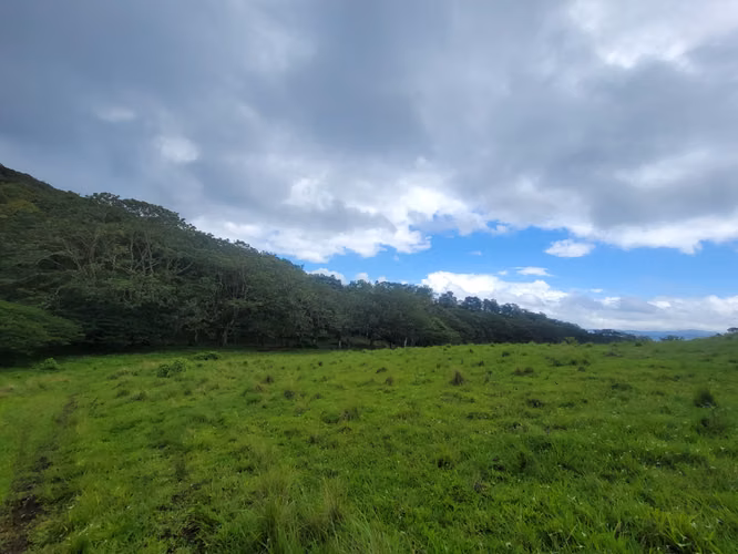Finca multipropósito en Jinotega!