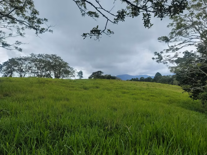 Finca multipropósito en Jinotega!