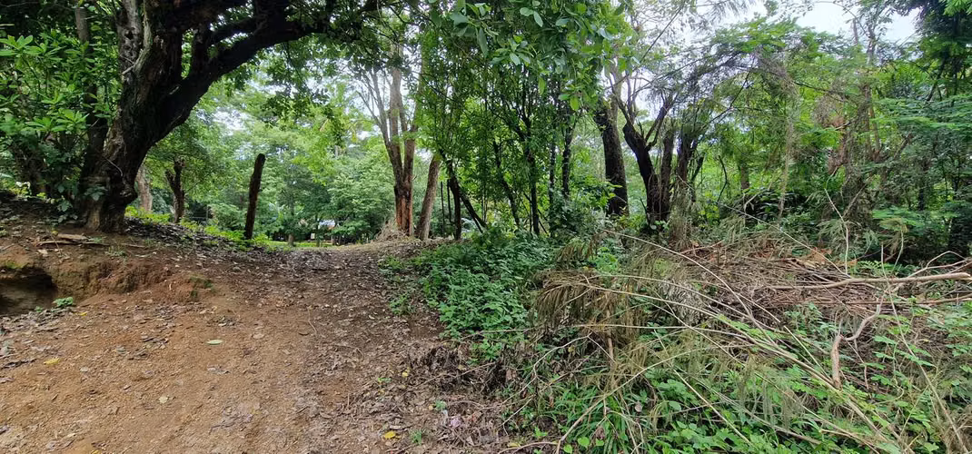Exclusive lots in Jocote Dulce!