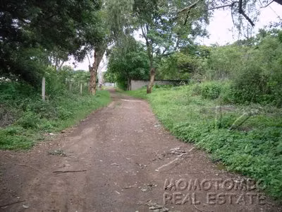 Lote Plano en Zona Exclusiva con Clima Fresco en Carretera Masaya!