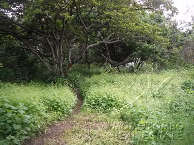 Lote Plano en Zona Exclusiva con Clima Fresco en Carretera Masaya!