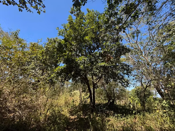 Terreno Exclusivo en Jocote Dulce!