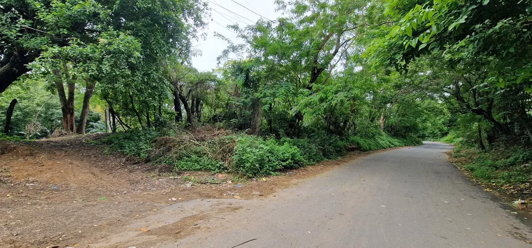 Terreno Exclusivo en Jocote Dulce!