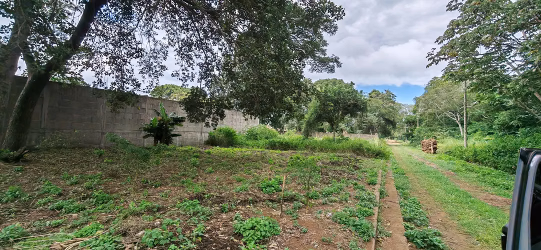 TERRENO EN VENTA DENTRO DE RESIDENCIAL LOS CIPRÉS, DIRIAMBA.