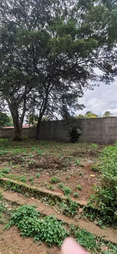 TERRENO EN VENTA DENTRO DE RESIDENCIAL LOS CIPRÉS, DIRIAMBA.