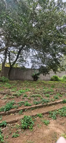 TERRENO EN VENTA DENTRO DE RESIDENCIAL LOS CIPRÉS, DIRIAMBA.