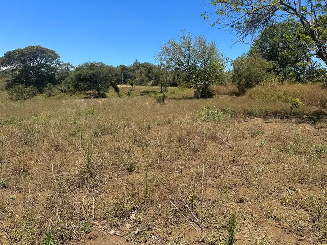 IM-Terreno de 5 manzanas en San Marcos - Carazo - Imagen 8