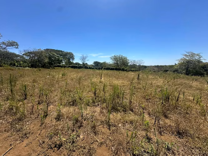 IM-Terreno de 5 manzanas en San Marcos - Carazo - Imagen 5