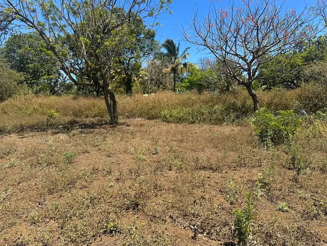IM-Terreno de 5 manzanas en San Marcos - Carazo - Imagen 2