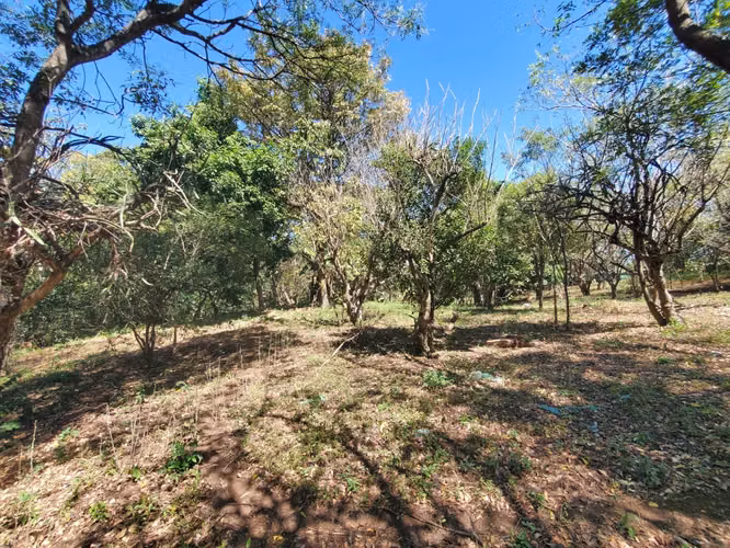 EJ-Vendo finca en Carretera Tipitapa, Masaya km 34.5