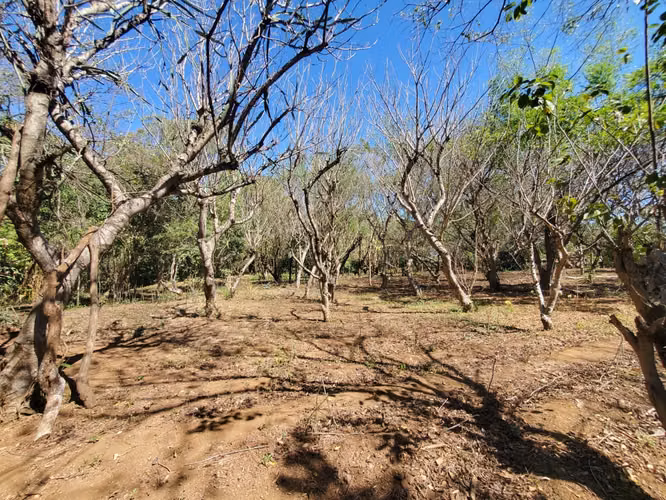 EJ-Vendo finca en Carretera Tipitapa, Masaya km 34.5
