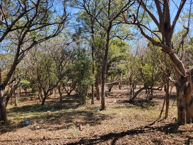 EJ-Vendo finca en Carretera Tipitapa, Masaya km 34.5