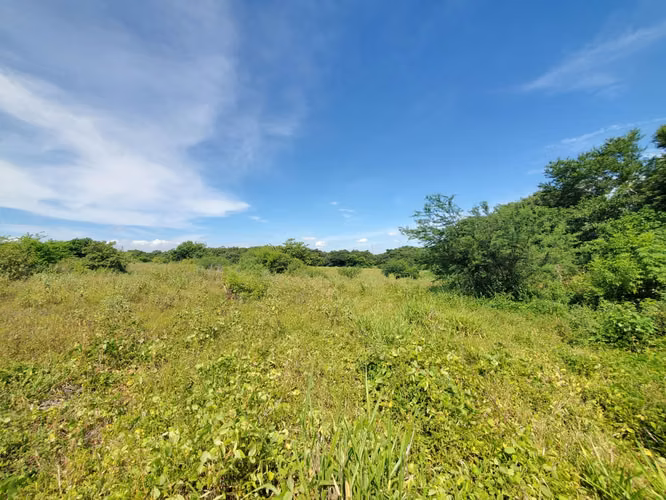 EB-Vendo terreno en Carretera Masaya, Tipitapa km 33 - Imagen 10