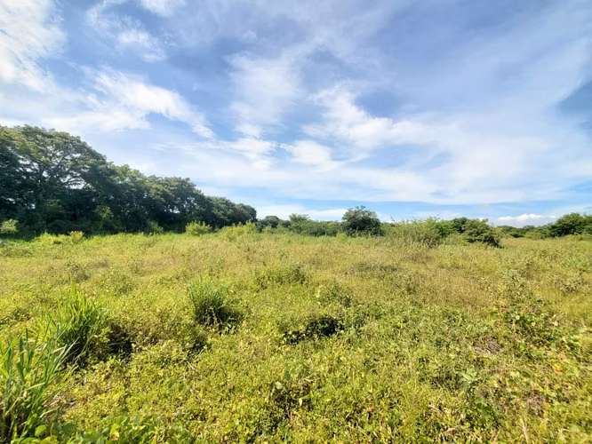 EB-Vendo terreno en Carretera Masaya, Tipitapa km 33 - Imagen 6