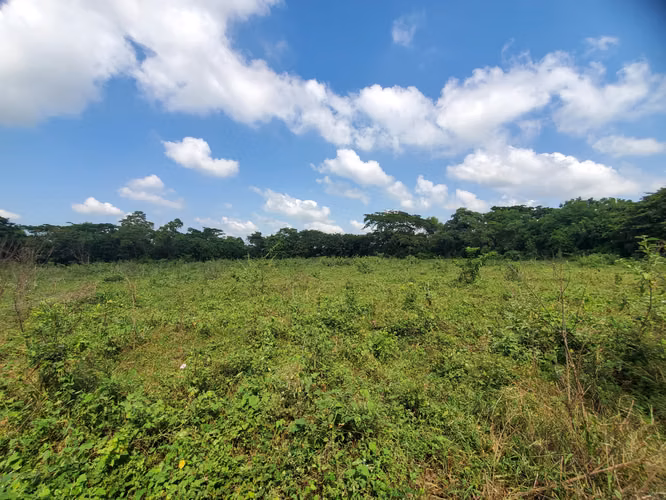 CL-Vendo quinta en Tisma km 36