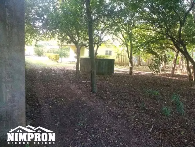 Finca is sold in Ticuancia, excellent investment