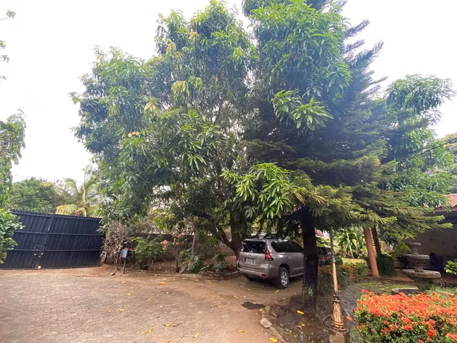 Venta de casa  en Carretera Vieja a León
