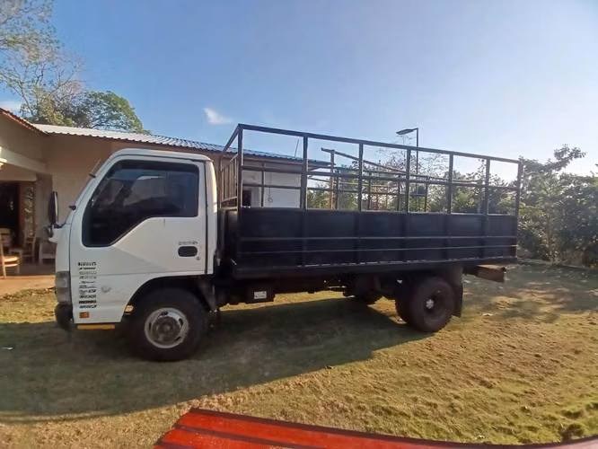 Camion Isuzu