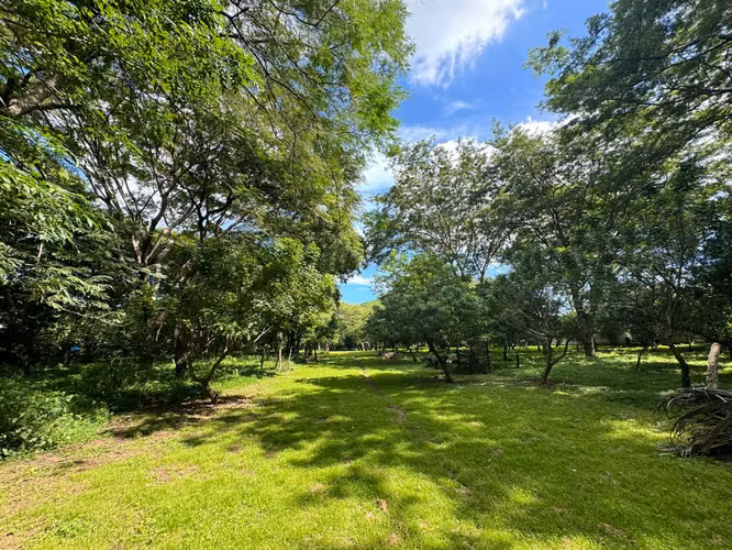 Venta de terreno en Carretera Vieja a León