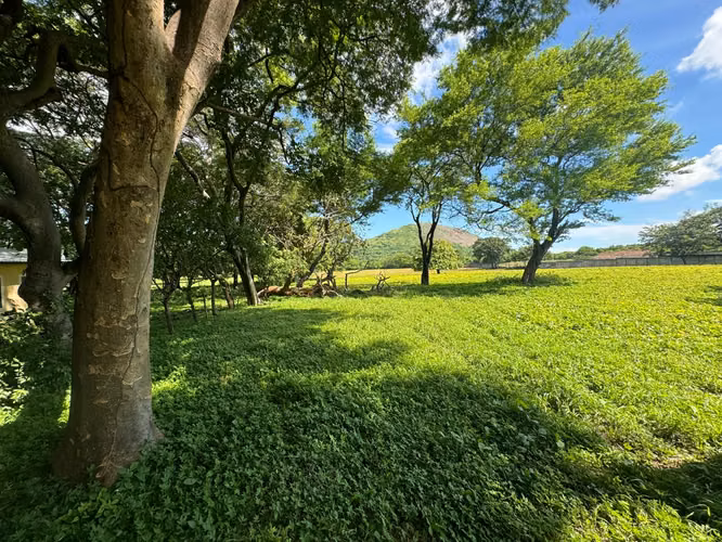 Venta de terreno en Carretera Vieja a León