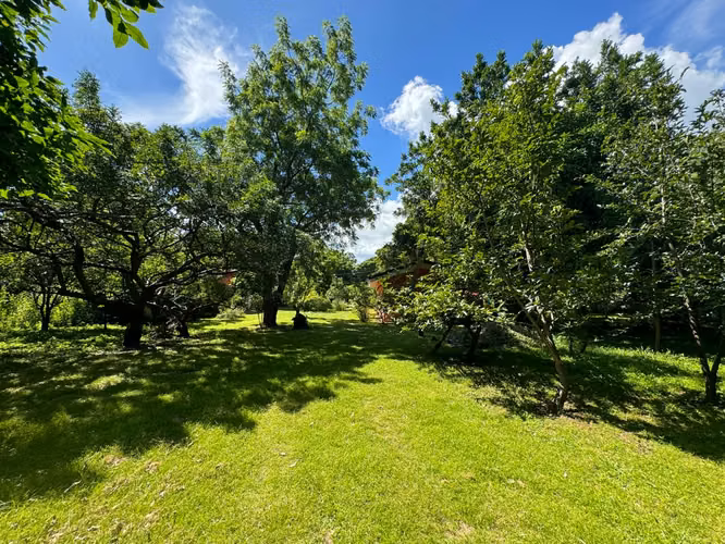 Venta de terreno en Carretera Vieja a León