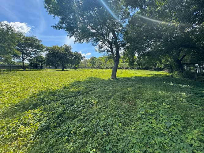 Venta de terreno en Carretera Vieja a León