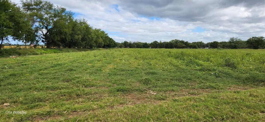 Terreno estratégico en venta en Sabana Grande - Imagen 16